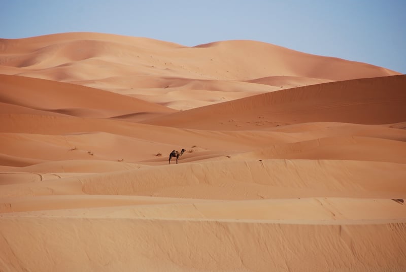 Moroccan Culture